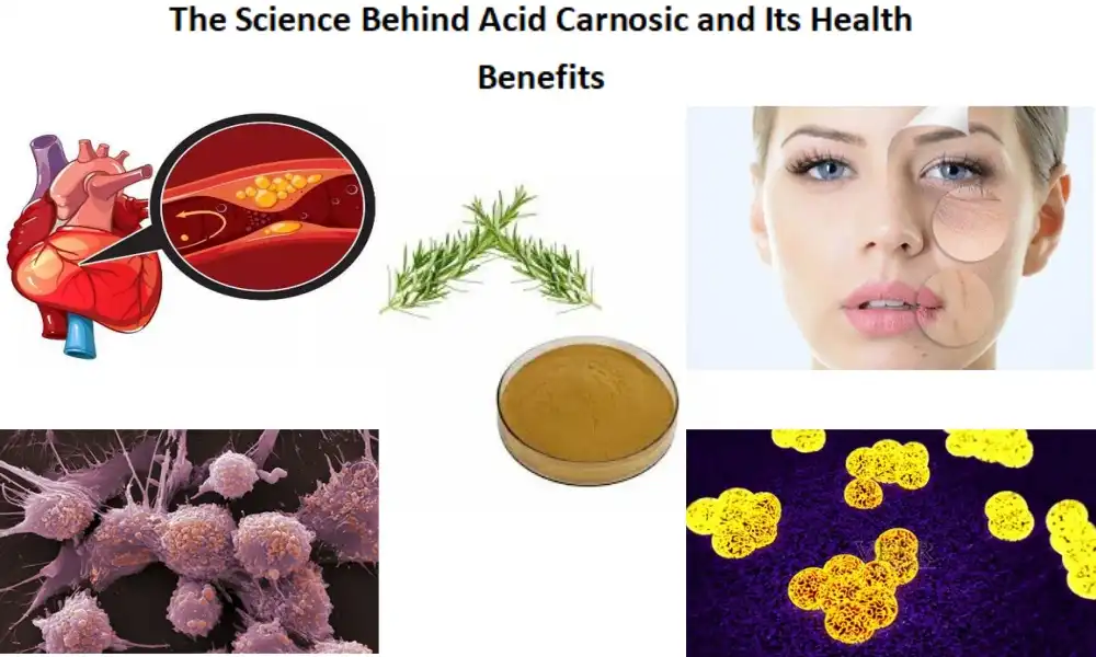 The Science Behind Acid Carnosic and Its Health Benefits